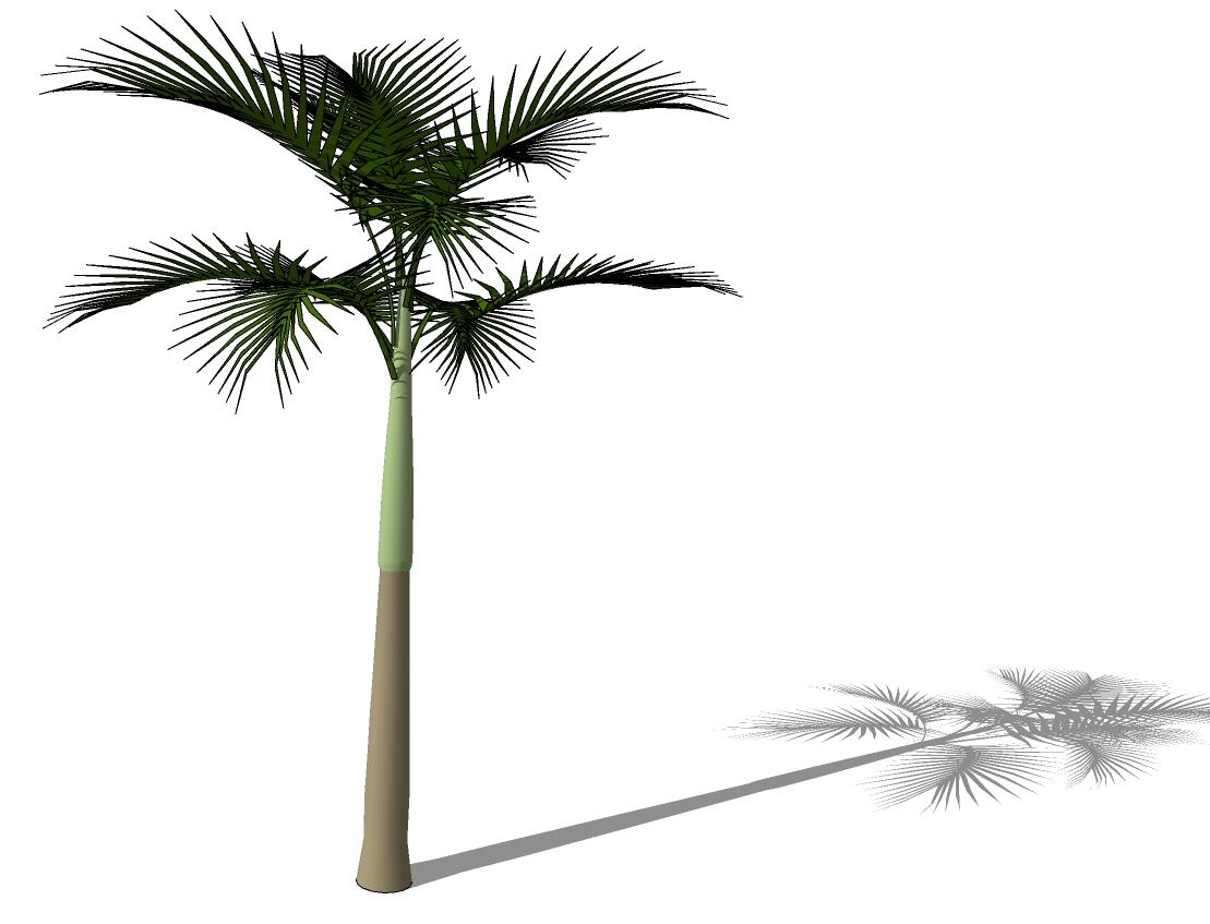 3D热带树 (21)-1